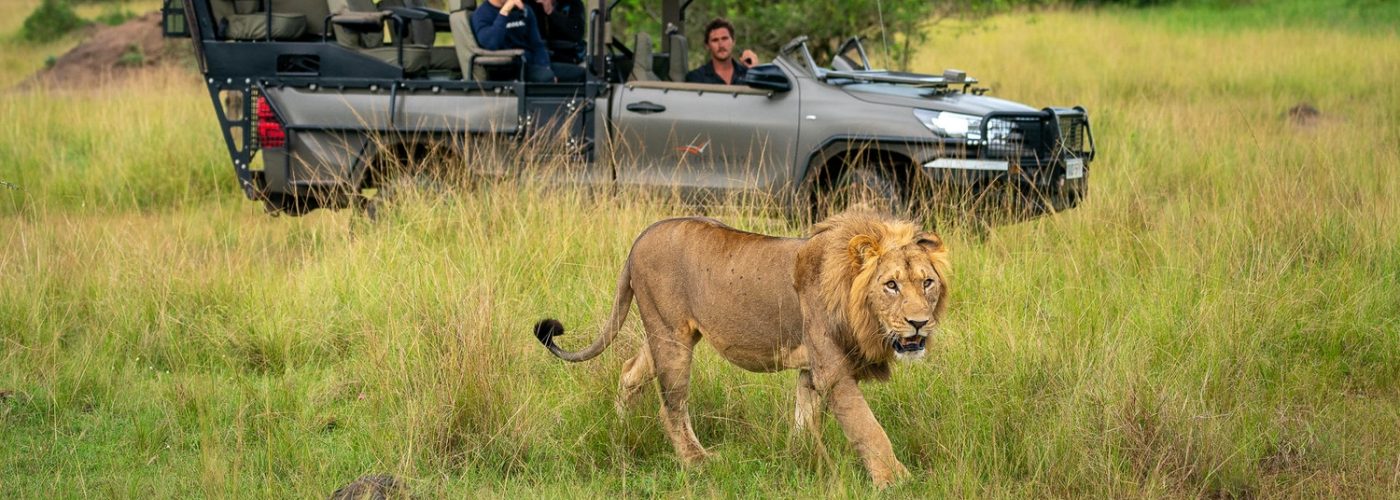 Wildlife and conservation