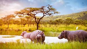 Responsible tourism approach